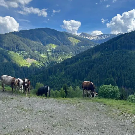 Oberzinnegg Apartment