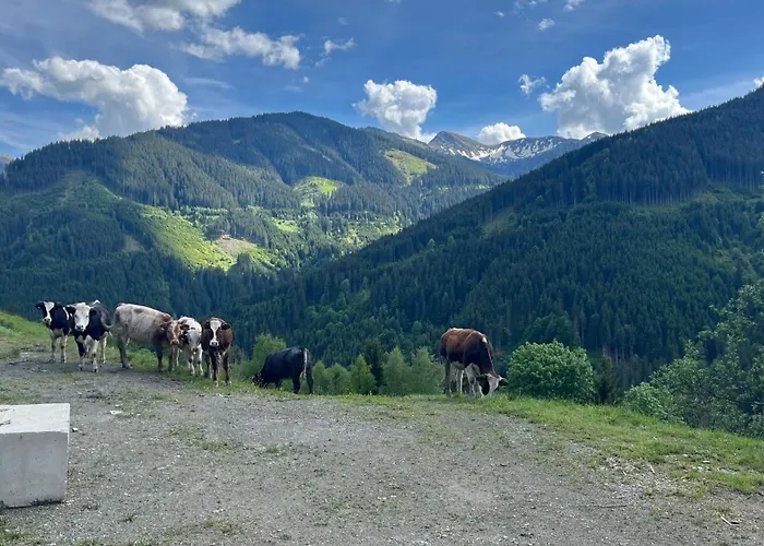 Oberzinnegg شقة