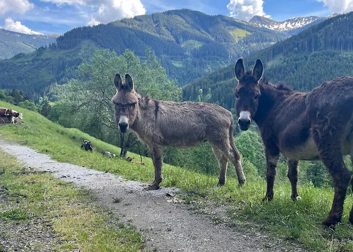 Oberzinnegg *