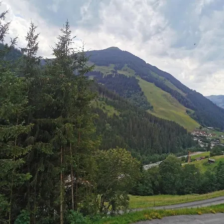 Oberzinnegg アパート ザールバッハ・ヒンターグレム