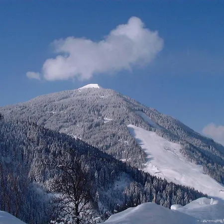 Oberzinnegg アパート