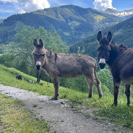 Oberzinnegg *