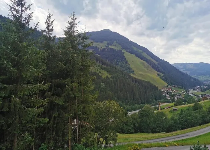 Oberzinnegg Apartment Saalbach-Hinterglemm